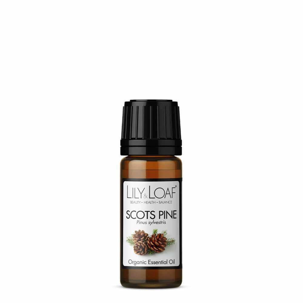 Scots Pine Organic Essential Oil (10ml)