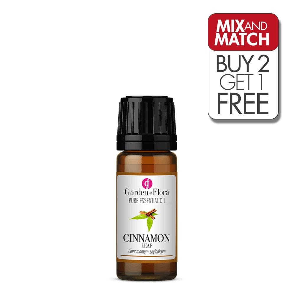Cinnamon Leaf Pure Essential Oil (10ml)